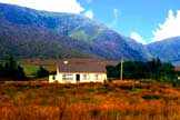 self
                        catering ring of kerry gortdromah house
