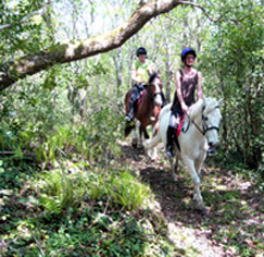 Horse trekking in Kerry